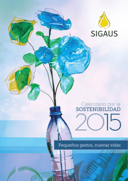Calendario SIGAUS 2015
