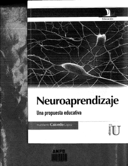 Neuroaprendizaje una propuesta educativa