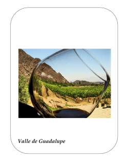 VALLE DE GUADALUPE