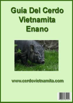 Guia Cerdo Vietnamita