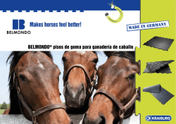 BELMONDO® pisos de goma para ganadería de caballo
