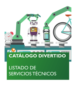 Servicios T&eacute;cnicos