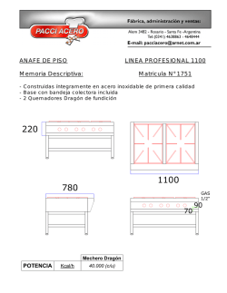 ANAFE DE PISO LINEA PROFESIONAL 1100