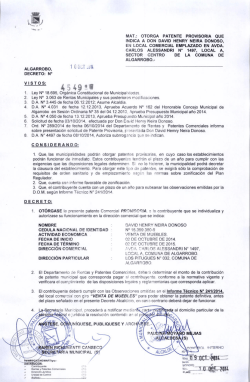 mat.: otorga patente provisoria que indica a don david henry neira