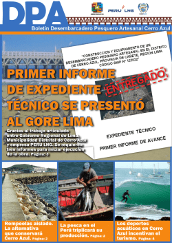 primer informe de expediente técnico se presentó al gore lima