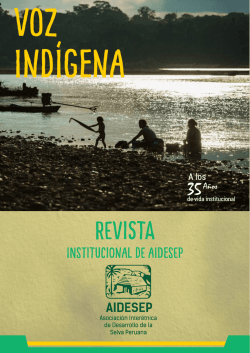 revista voz ind&iacute;gena 2015