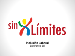 2. Experiencia de Programa de Inclusión de BCI, Sr. Willy Valenzuela