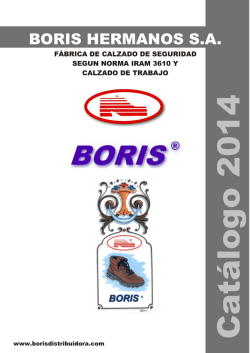 BORIS HERMANOS S.A.