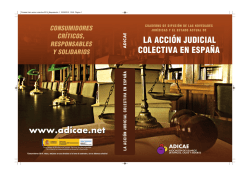 libro sobre la acci&oacute;n judicial colectiva en espa&ntilde;a.