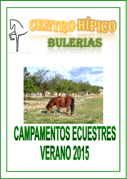 Folleto Informativo - Centro Hípico Bulerías, en Titaguas