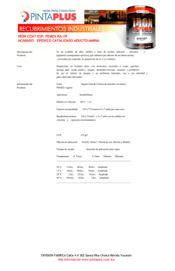 iron coat esp. pemex ra-29 acabado epoxico catalizado aducto