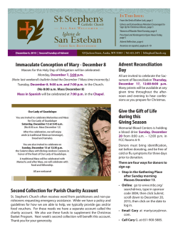 Immaculate Conception of Mary - December 8 Second Collection for