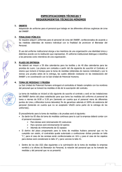 especificaciones técnicas y requerimientos técnicos mínimos