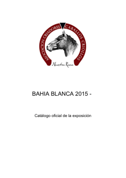 BAHIA BLANCA 2015 -