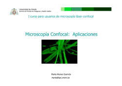 Aplicaciones Microscopia Laser Confocal
