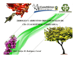Arboles y arbustos ornamentales.