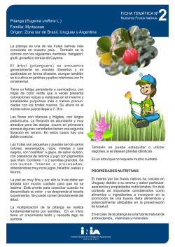 Descargar material