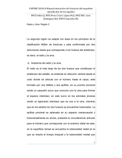 10 radio y ulna - sitio institucional de proyectos papime - fmvz-unam