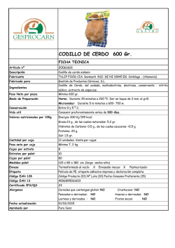 FT-20061601 CODILLO DE CERDO