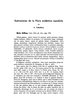 Ilustraciones de la Flora endémica española por A. Caballero Beta
