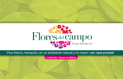 ROTAFOLIO FLORES DEL CAMPO