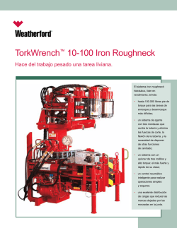 TorkWrench™ 10-100 Iron Roughneck - Al