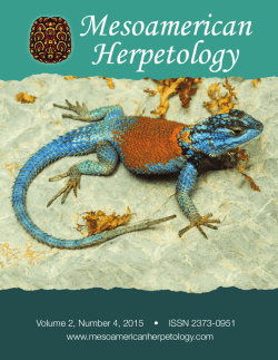 view / - Mesoamerican Herpetology