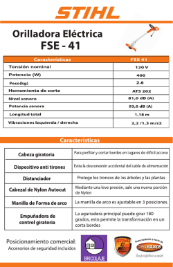 tiro ficha tecnica FSE 41 WEB