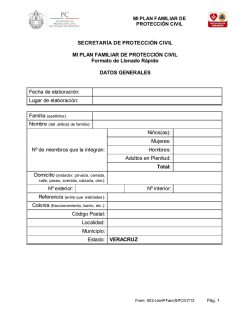 Formato de llenado Plan Famlia