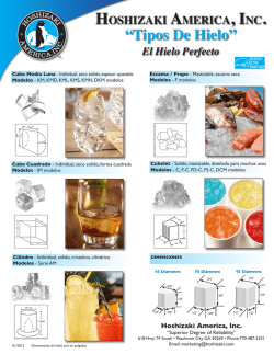 “Tipos De Hielo”