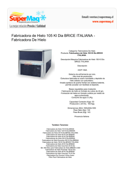 Fabricadora de Hielo 105 Kl Dia BRICE ITALIANA