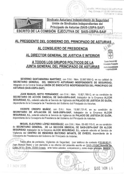 ESCRITO DE LACOMISIÓN EJECUTIVA DE SAIS- USIPA