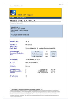 D&B VIP Report Muestra D&B, S.A. de C.V.
