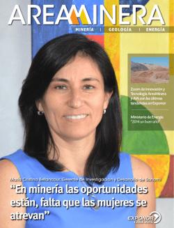&ldquo;En miner&iacute;a las oportunidades est&aacute;n, falta que las