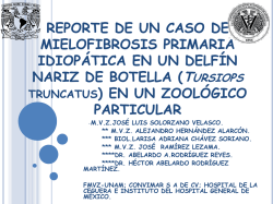 REPORTE DE UN CASO DE MIELOFIBROSIS PRIMARIA