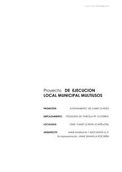 Proyecto DE EJECUCION LOCAL MUNICIPAL MULTIUSOS