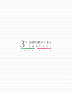 Tercer Informe de Labores 2014 - Secretar&iacute;a de Relaciones Exteriores