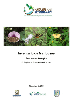 invetario mariposas_pdb_ mlq 2012