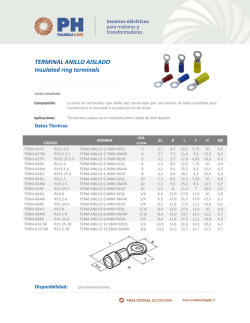 TERMINAL ANILLO AISLADO Insulated ring terminals