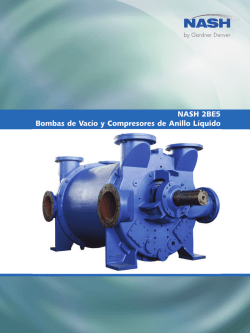 NASH 2BE5 Bombas de Vacío y Compresores de Anillo Líquido
