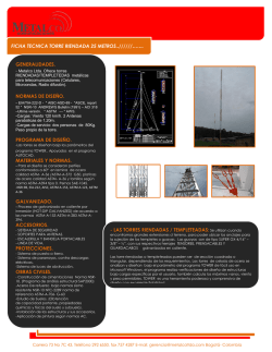 FICHA TECNICA TORRE RIENDADA 25 METROS