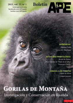 Gorilas de Montaña - Asociación Primatológica Española