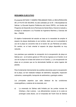 RESUMEN EJECUTIVO - Programa para el Desarrollo de la