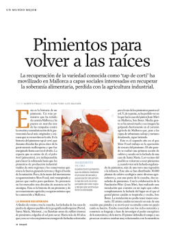 Art. Pebre Bord, Revista Integral`11