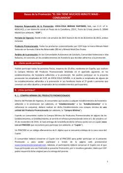 Bases de la Promoción - Consumidor (2)