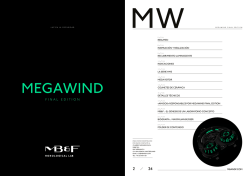 Megawind Final Edition ES