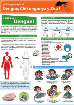 DM Dengue