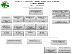 Presentación de PowerPoint - Tribunal de lo Contencioso