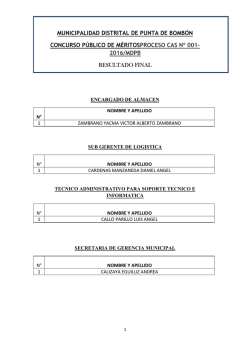 concurso público de méritos - municipalidad distrital de la punta de