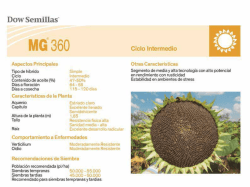 GIRASOL MG 360